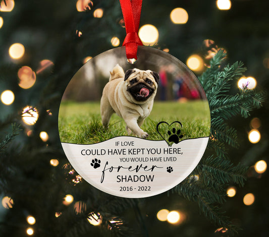 Pet Memorial Photo Acrylic Ornament Gift, You Left Paw Prints On My Heart, Paw Print Ornament, Pet Loss,  Pet Memorial Gift